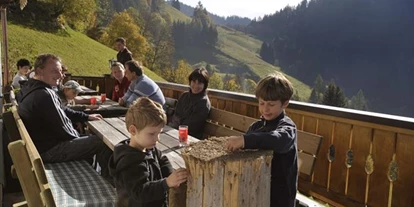 Pensionen - Art der Pension: Urlaub am Bauernhof - Steiermark - Irxnerhof
