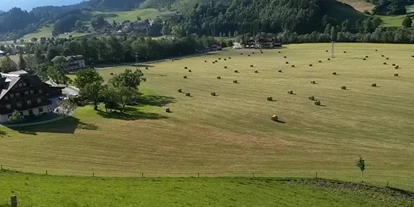 Pensionen - Art der Pension: Urlaub am Bauernhof - Steiermark - Weitgasserhof