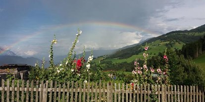 Pensionen - Garten - Steiermark - Schwarzkoglerhof