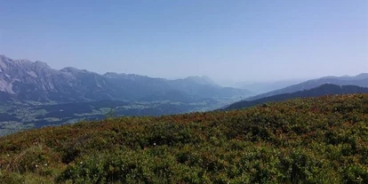 Pensionen - Art der Pension: Urlaub am Bauernhof - Steiermark - Schwarzkoglerhof