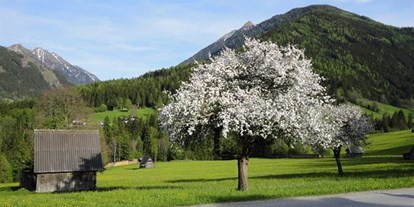 Pensionen - Art der Pension: Ferienwohnung - Steiermark - Andenbacherhof