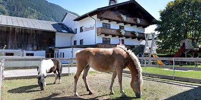 Pensionen - Terrasse - Reith im Alpbachtal - Pension Traube