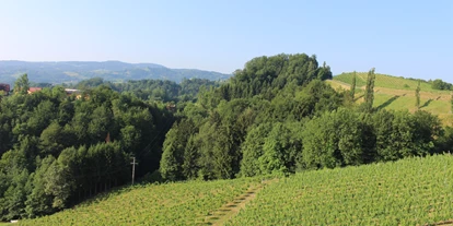 Pensionen - Garten - Schloßberg (Leutschach an der Weinstraße) - Ausblick auf unsere Weingärten - Weingut Juritsch