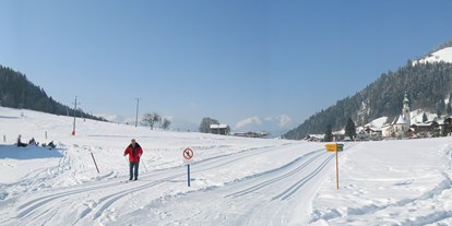 Pensionen - Umgebungsschwerpunkt: am Land - Holdernach - Panorama Oberau - Gasthof - Pension Schneerose
