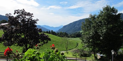 Pensionen - Hunde: erlaubt - Oberndorf in Tirol - Fertinghof