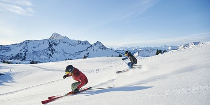 Pensionen - Skilift - Vorarlberg - Hotel - Garni Alpina