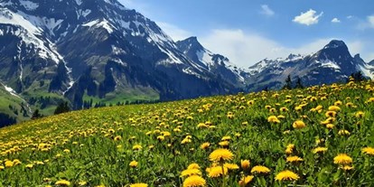 Pensionen - Umgebungsschwerpunkt: Berg - Wald am Arlberg - Haus Annette