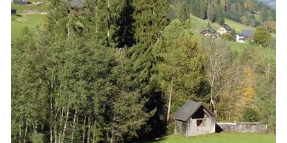 Pensionen - Umgebungsschwerpunkt: Berg - Ramsau (Bad Goisern am Hallstättersee) - Lacknerhof