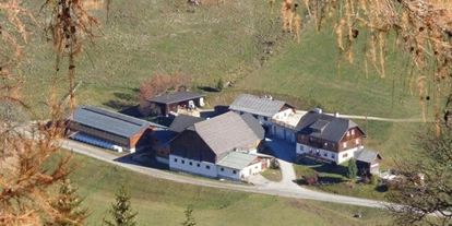 Pensionen - Umgebungsschwerpunkt: am Land - Sankt Nikolai im Sölktal - Lacknerhof