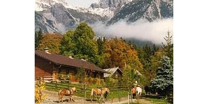 Pensionen - Art der Pension: Urlaub am Bauernhof - Steiermark - Reiterhof Brandstätter-Töltl