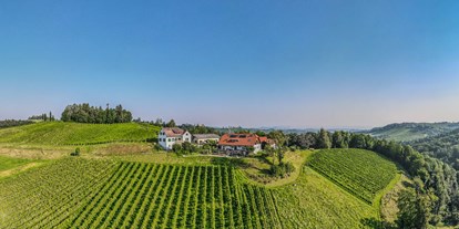 Pensionen - Art der Pension: Weingut mit Zimmervermietung - Steiermark - Unser Hof in herrliche Alleinlage! - Gästezimmer & Buschenschank am Weingut Hack-Gebell