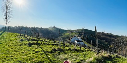 Pensionen - Art der Pension: Weingut mit Zimmervermietung - Steiermark - Picknick im Weingarten - Gästezimmer & Buschenschank am Weingut Hack-Gebell