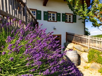 Pensionen - Umgebungsschwerpunkt: am Land - Steiermark - Winzerhaus - Gästezimmer & Buschenschank am Weingut Hack-Gebell