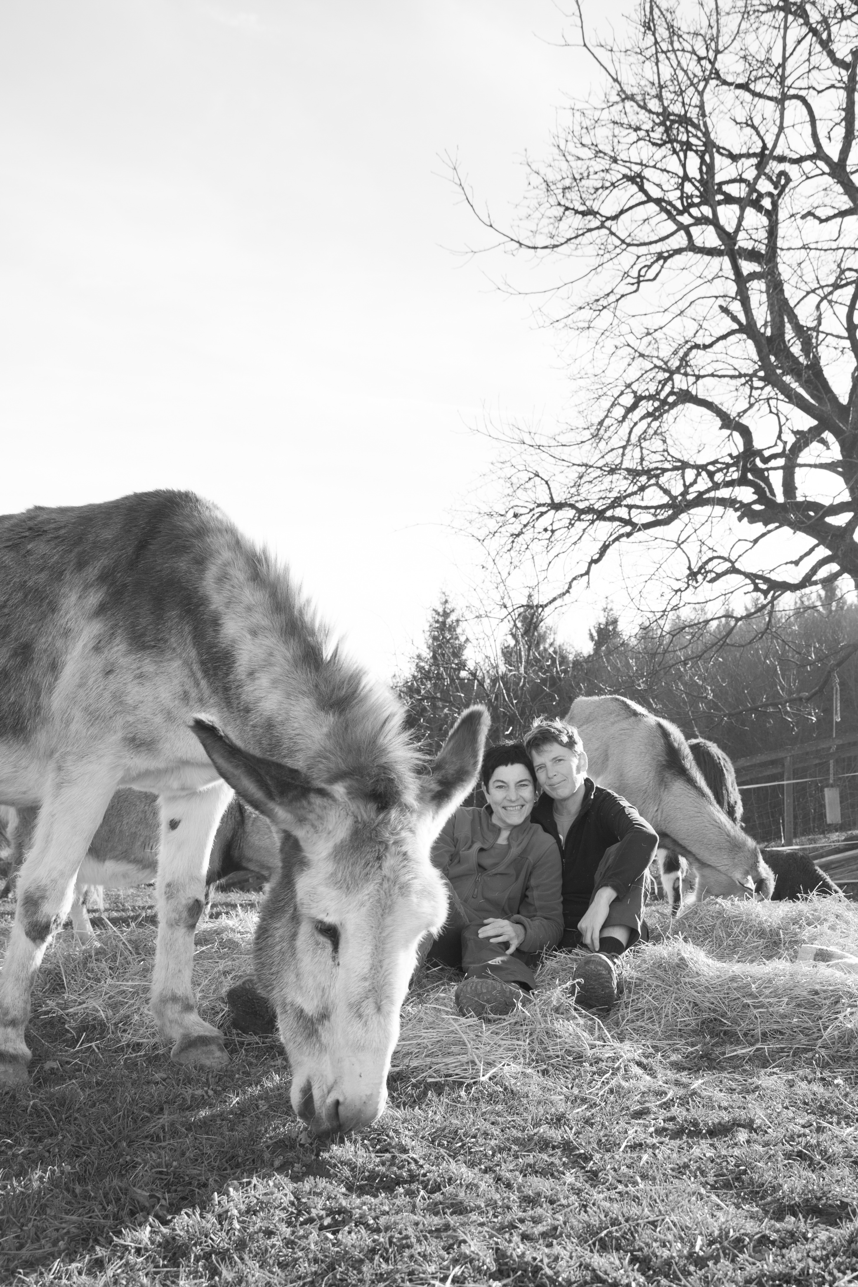 Frühstückspension - Wir leben und arbeiten hier am Weiberhof gemeinsam mit unseren beiden freundlichen menschenbezogenen Hunden, die sich natürlich frei am Hof bewegen und allen anderen Tieren, den Hühnern, Lamas, Schafen, Ziegen, Eseln, die auf ihren Weiden leben. Seit Februar 2018 unterstützt uns bei unserer Arbeit für einige Wochenstunden Barbara, unsere Mitarbeiterin. 

La vita e bella, wir lieben das Leben, sind voll von Ideen und fördern leidenschaftlich gerne das kreative Potential, über das jede/r verfügt - sei es bei Kunstprojekten, im Rahmen von Kursangeboten oder in vorab gebuchten Einzelsettings.

Wir ermöglichen Frauen Urlaubstage in der vielfältigen Kulturlandschaft des Naturparks Südsteiermark, in der sie sich wohl fühlen und stärken können.

Willkommen!

Erika & Nina - Weiberhof