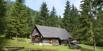 Pensionen - Umgebungsschwerpunkt: am Land - Sankt Nikolai im Sölktal - Aignerhof