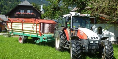Pensionen - Art der Pension: Urlaub am Bauernhof - Ramsau am Dachstein - Gsöllhof