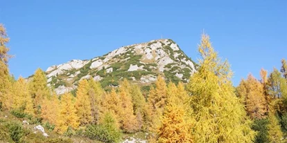 Pensionen - Umgebungsschwerpunkt: Berg - Ramsau (Bad Goisern am Hallstättersee) - Stoffenbauer