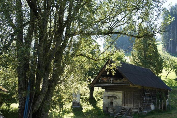 Frühstückspension - Dirtlerhof