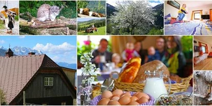 Pensionen - Art der Pension: Urlaub am Bauernhof - Pöllau am Greim - Badlechnehrof