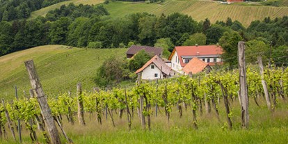 Pensionen - Süd & West Steiermark - Weingut & Gästezimmer Resch