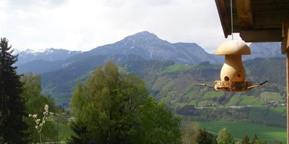 Pensionen - Umgebungsschwerpunkt: Berg - Gröbming - Panoramahof Gupf