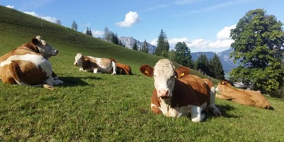 Pensionen - Art der Pension: Urlaub am Bauernhof - Steiermark - Kirchbichlerhof