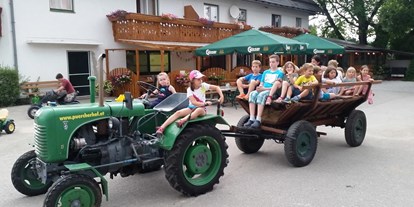 Pensionen - Art der Pension: Urlaub am Bauernhof - Gröbming - Hotel Pension Camping Pürcherhof