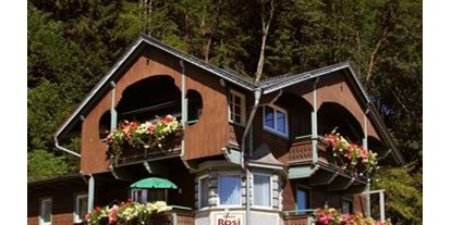 Pensionen - Zell am See - Pension Rosi