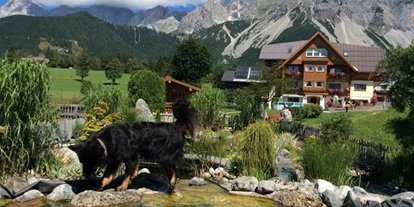 Pensionen - Hunde: auf Anfrage - Gröbming - Haus am Bach