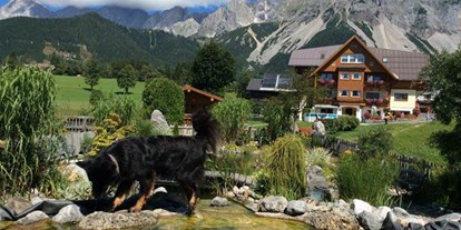 Pensionen - Hunde: auf Anfrage - Löbenau - Haus am Bach