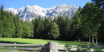 Pensionen - Umgebungsschwerpunkt: Berg - Ramsau (Bad Goisern am Hallstättersee) - Pension Sonnwendhof