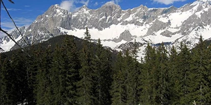Pensionen - Umgebungsschwerpunkt: Berg - Ramsau (Bad Goisern am Hallstättersee) - Pension Alpenglühn