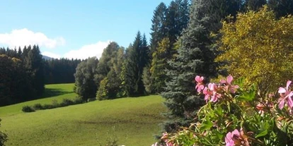 Pensionen - Umgebungsschwerpunkt: Berg - Ramsau (Bad Goisern am Hallstättersee) - Landurlaub Trillerhof