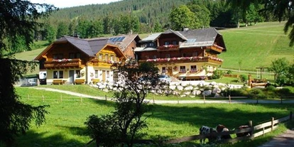 Pensionen - Art der Pension: Urlaub am Bauernhof - Steiermark - Greimelbacherhof