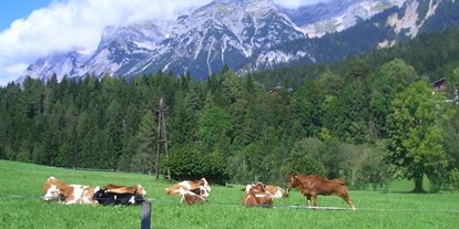 Pensionen - Art der Pension: Urlaub am Bauernhof - Schladming-Dachstein - Haslehnerhof