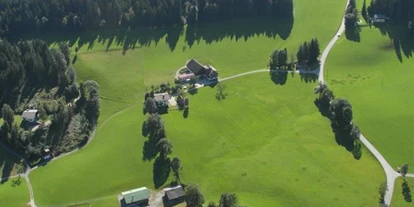 Pensionen - Umgebungsschwerpunkt: am Land - Bad Aussee - Haslehnerhof