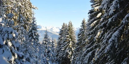 Pensionen - Umgebungsschwerpunkt: Berg - Ramsau (Bad Goisern am Hallstättersee) - Pension Bergpracht