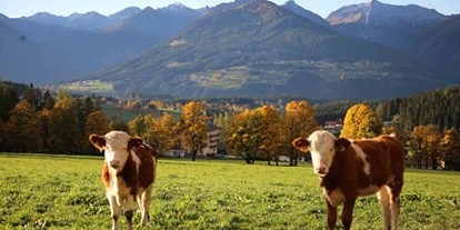 Pensionen - Art der Pension: Urlaub am Bauernhof - Gröbming - Stoffenbauer