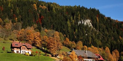 Pensionen - Garten - Steiermark - Rössingerhof
