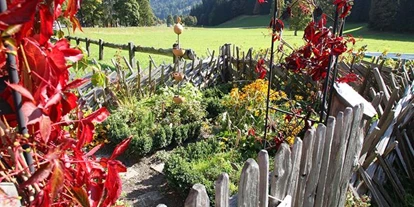 Pensionen - Art der Pension: Urlaub am Bauernhof - Steiermark - Ederhof