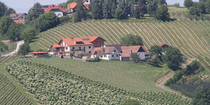 Pensionen - Balkon - Oberrakitsch - Weinbauernhof Amtmann