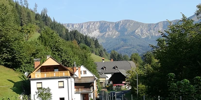 Pensionen - Umgebungsschwerpunkt: Berg - Krottendorf (Kapfenberg) - Blick vom "Familienzimmer" auf die Brunnalm - Hohe Veitsch - Frühstückspension Hermine Fraiß