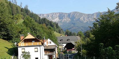 Pensionen - Wanderweg - Grubbauer - Blick vom "Familienzimmer" auf die Brunnalm - Hohe Veitsch - Frühstückspension Hermine Fraiß