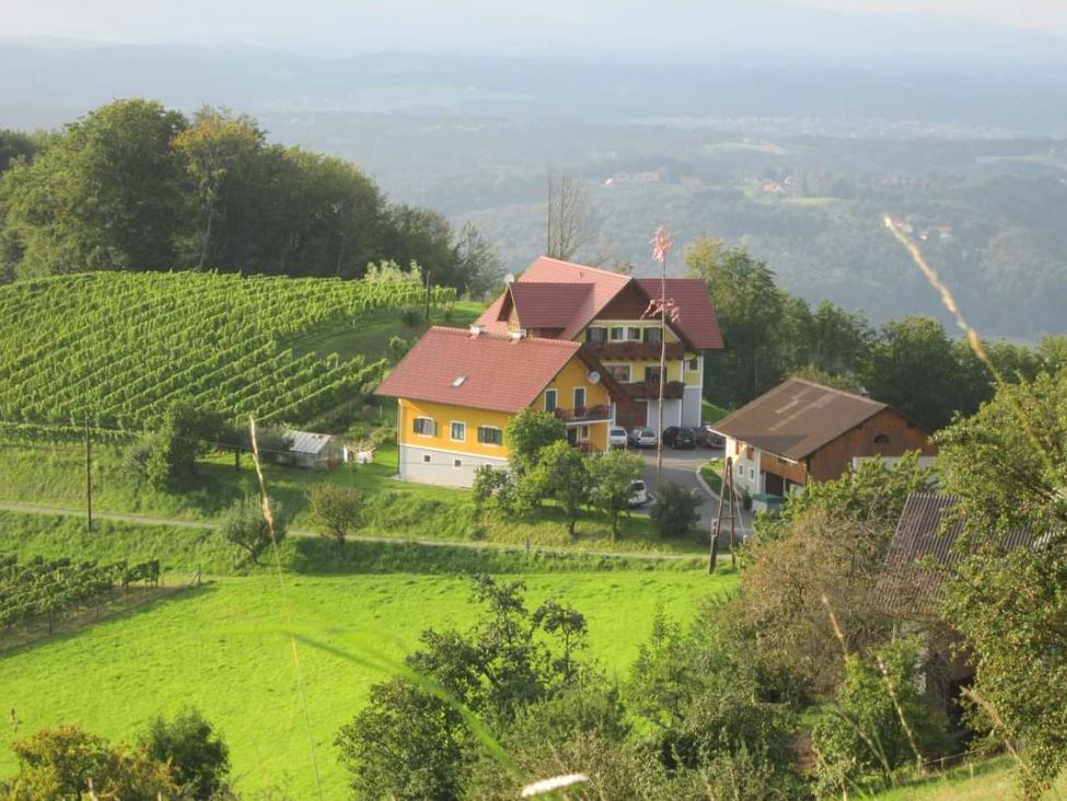 Frühstückspension - Weingut Kröll