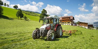Pensionen - Art der Pension: Urlaub am Bauernhof - Steiermark - Hoferhof
