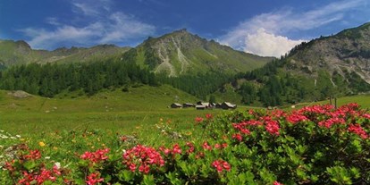 Pensionen - Umgebungsschwerpunkt: Berg - Ginau - Bauernhof Rücklhof