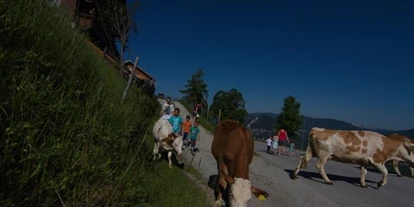 Pensionen - Art der Pension: Urlaub am Bauernhof - Steiermark - Bauernhof Rücklhof