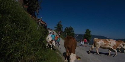 Pensionen - Art der Pension: Urlaub am Bauernhof - Ginau - Bauernhof Rücklhof