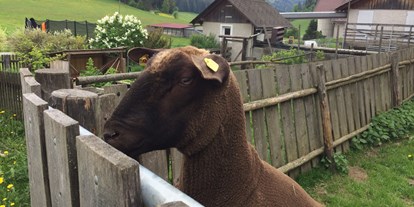 Pensionen - Garten - Adriach (Frohnleiten) - wir züchten Jura Schafe - Jakobbauer