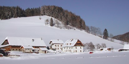 Pensionen - Umgebungsschwerpunkt: am Land - Leitendorf - Winter - Jakobbauer